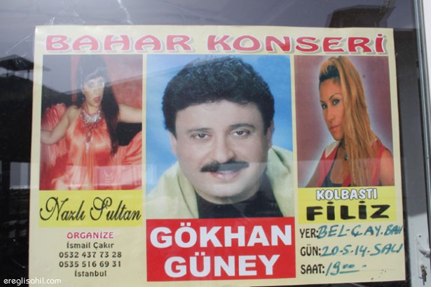 GÖKHAN GÜNEY, ALAPLI'DA KONSER VERECEK